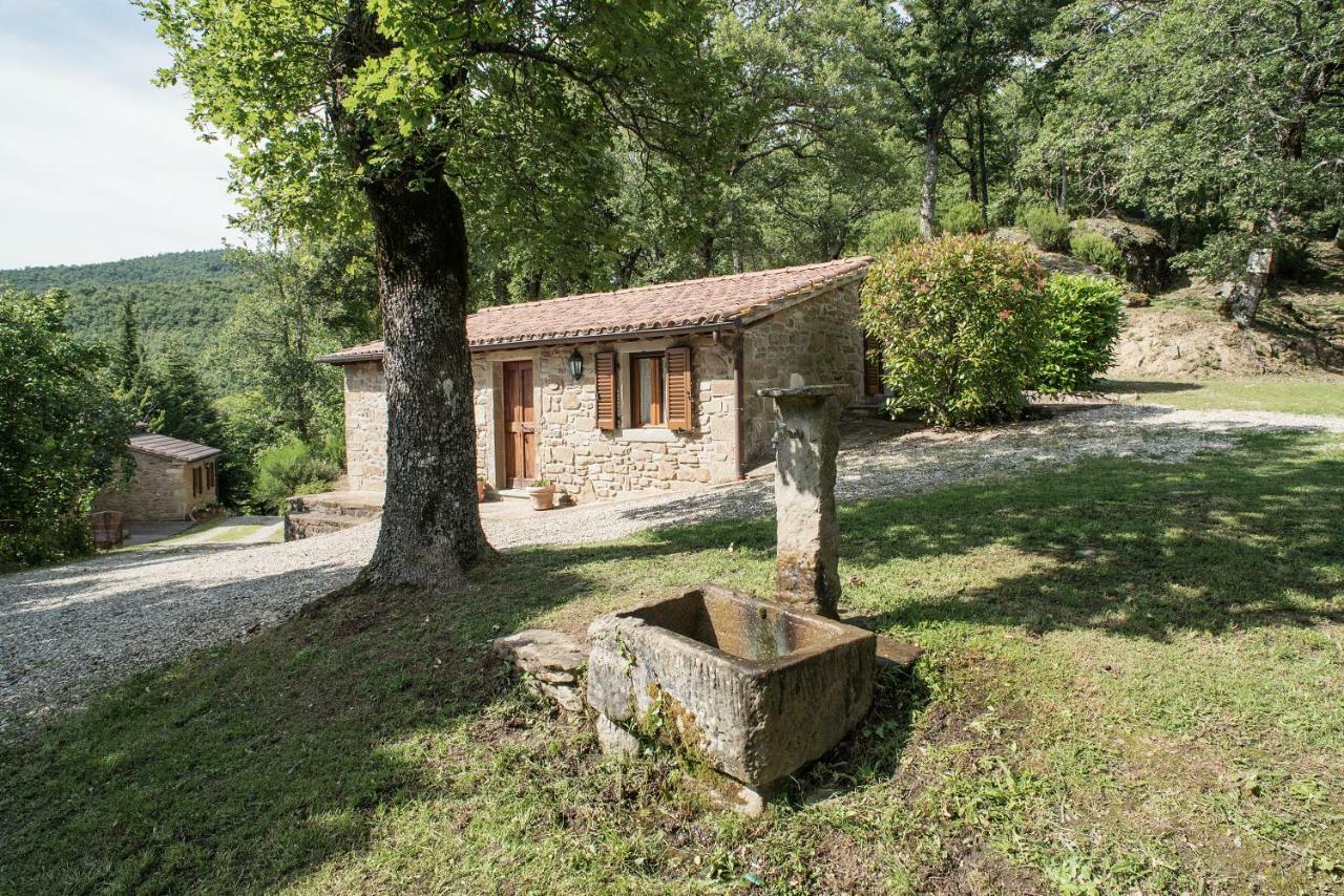 Casa Rancacci Guest House Mercatale  Екстериор снимка