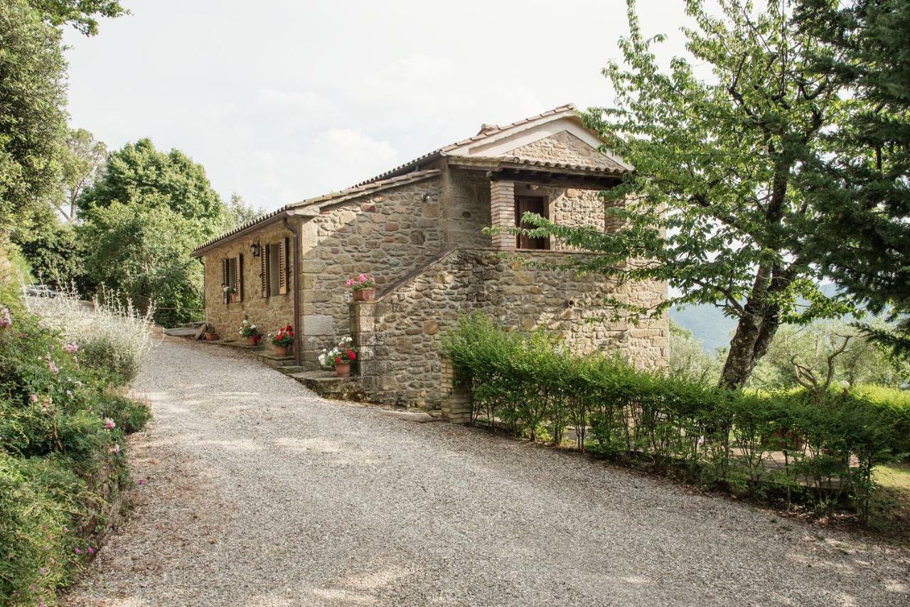 Casa Rancacci Guest House Mercatale  Екстериор снимка