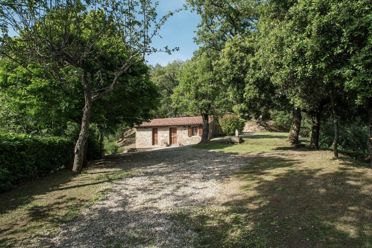 Casa Rancacci Guest House Mercatale  Екстериор снимка
